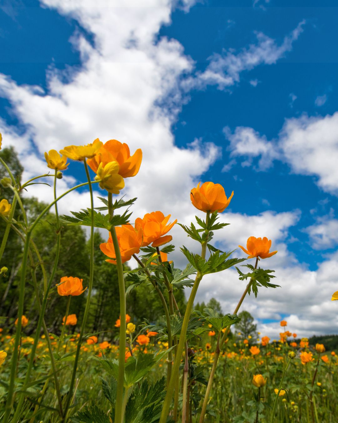 Prepping Your Home for Warmer Weather